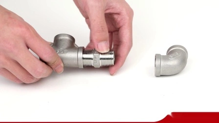 Pipe Fitting BSPT NPT Thread Screw Stainless Steel Euqal Socket